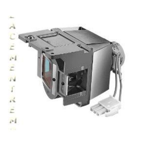 BenQ 5J.JA105.001 Projector Lamp Assembly