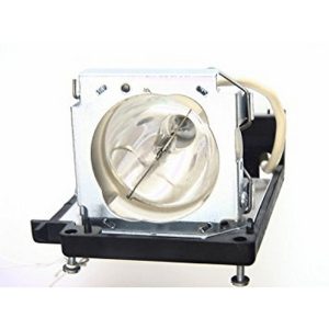 NEC LT80-LAMP Projector Lamp Assembly