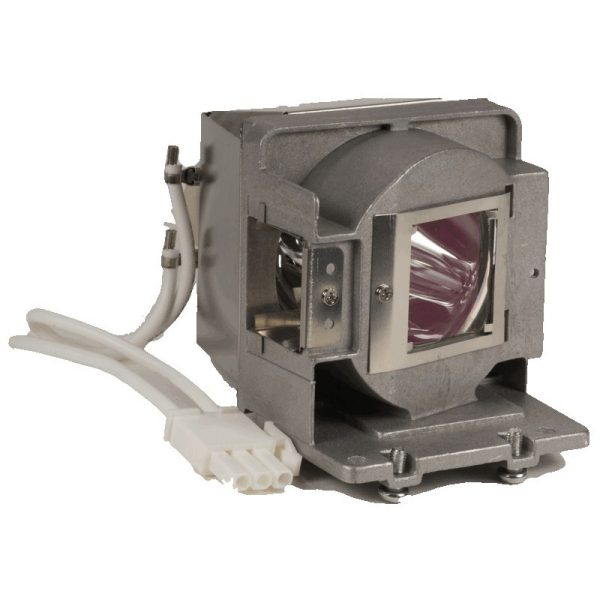 Optoma BL-FU190C Projector Lamp Assembly