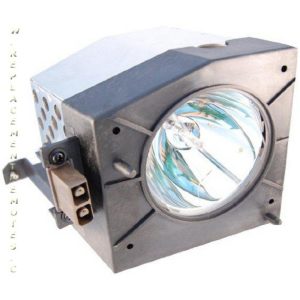 Toshiba D95LMP Projector Lamp Assembly
