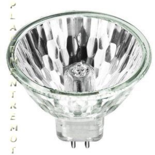 Ushio 1001115 Specialty Equipment Lamp