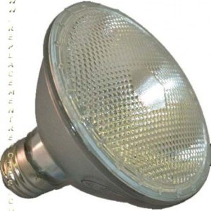 Ushio 1001536 Specialty Equipment Lamp