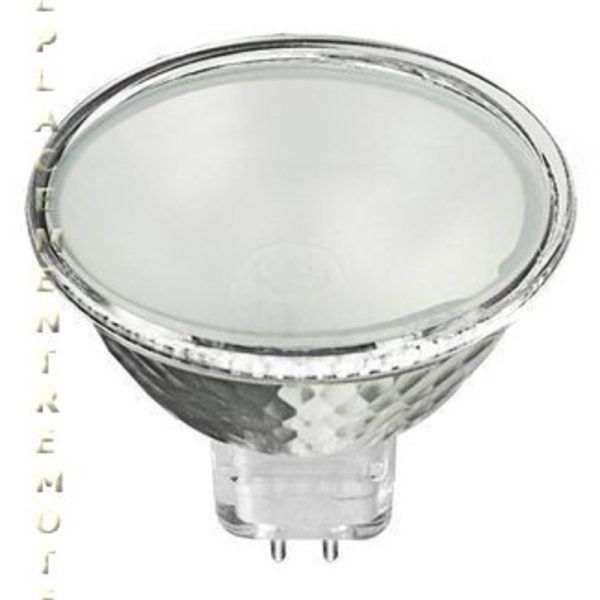 Ushio 1003286 Specialty Equipment Lamp