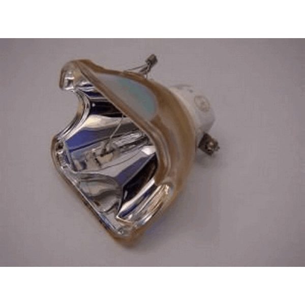 Ushio NSHA210HO Projector Lamp Assembly